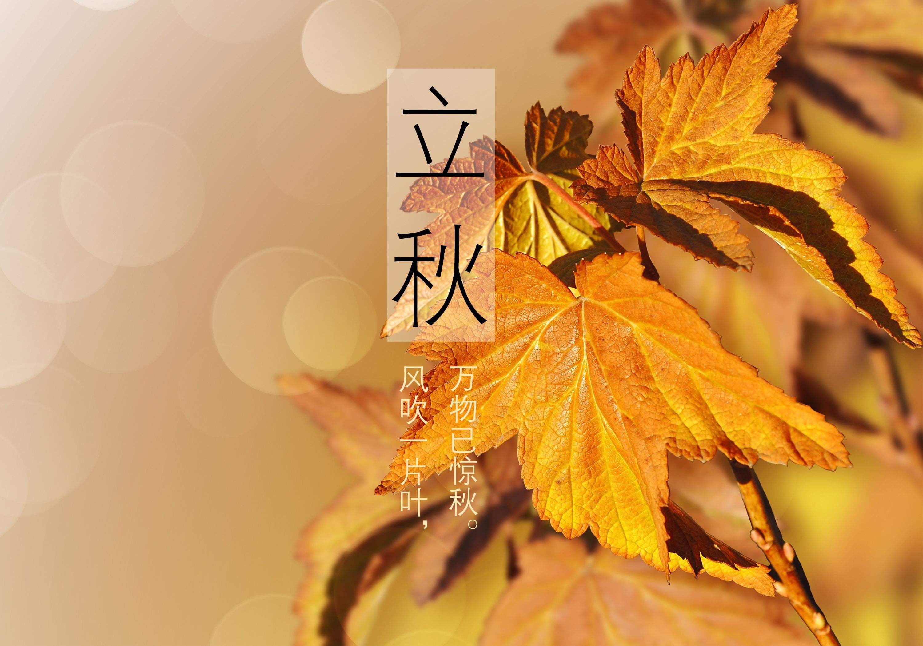 今日立秋